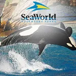 SeaWorld Transportation
